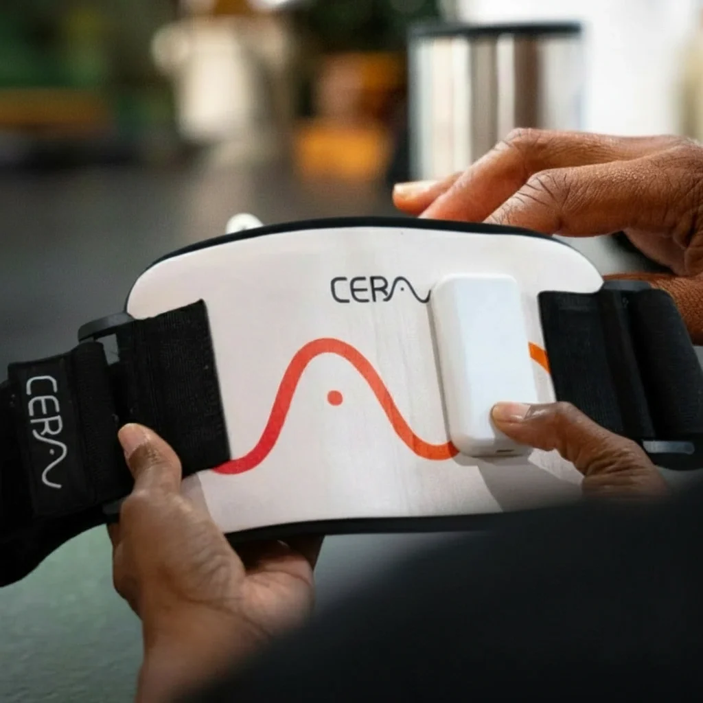 The CERA System (Copy) - Image 4